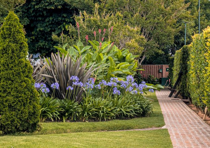 TCA-Olivos_jardin (53) (1)