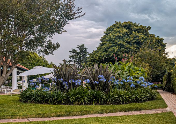 TCA-Olivos_jardin (83) (1)